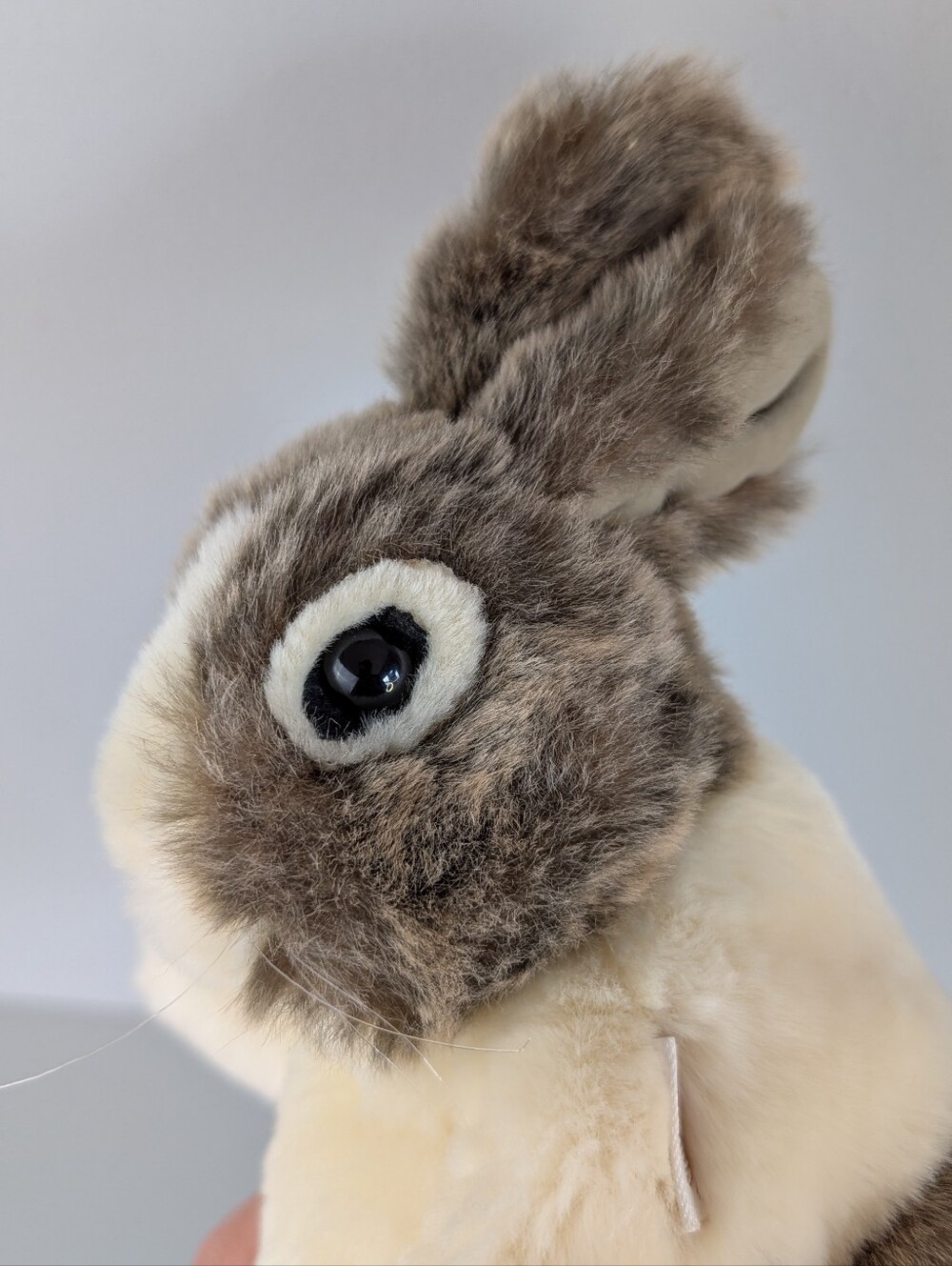Folkmanis Baby Dutch Rabbit Hand Puppet - Picture 6 of 15